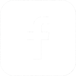 Linked In Icon
